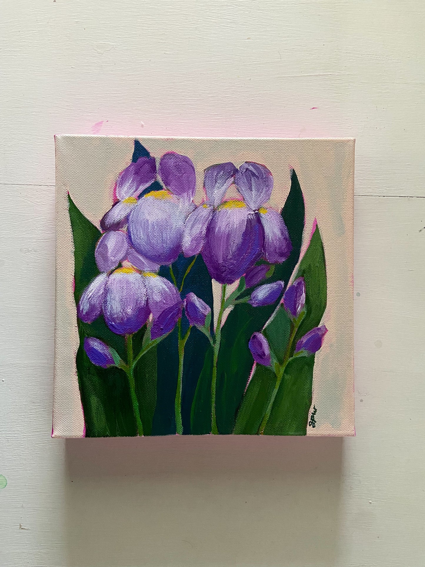 Irises