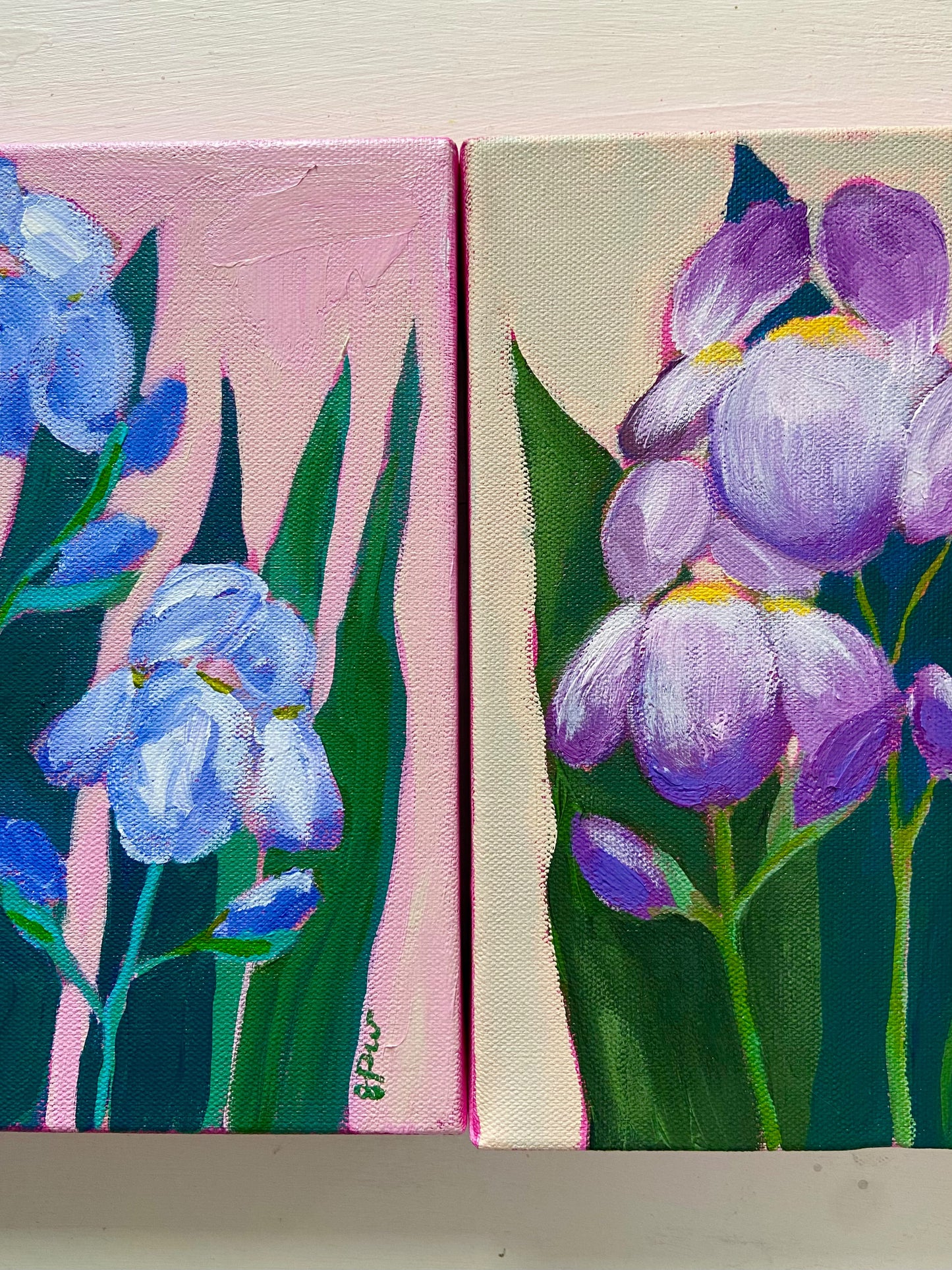 Irises