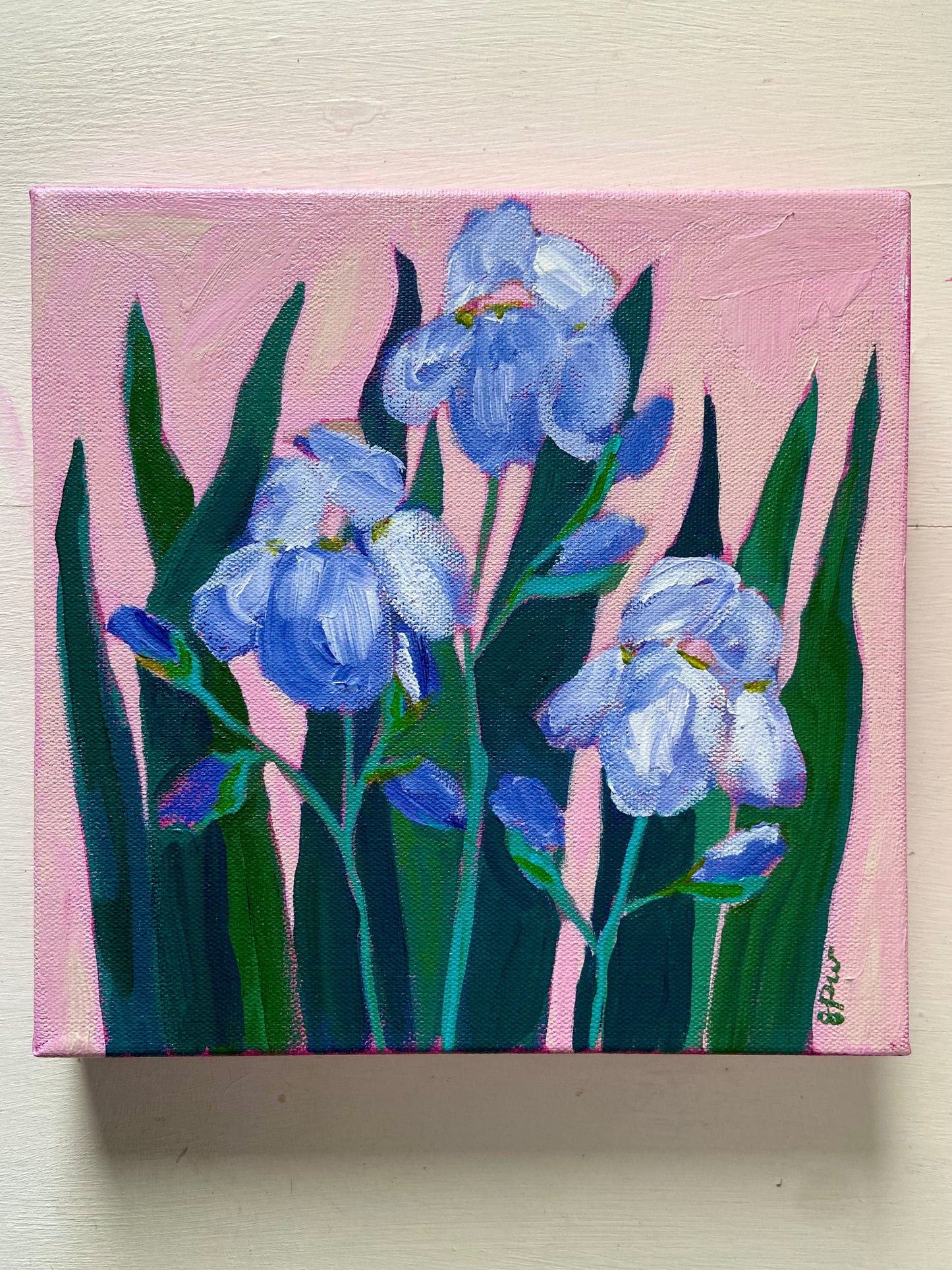 Irises