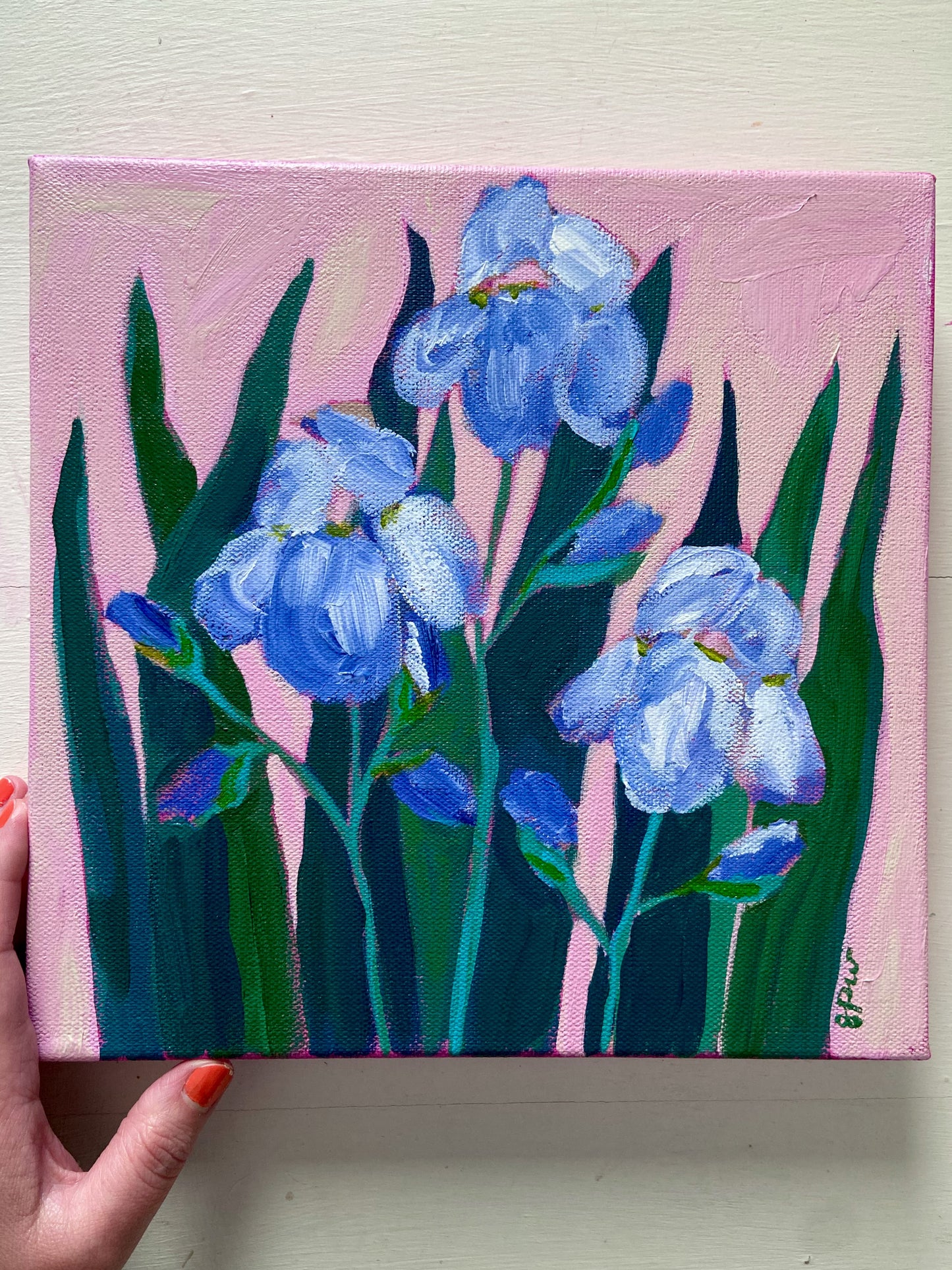 Irises