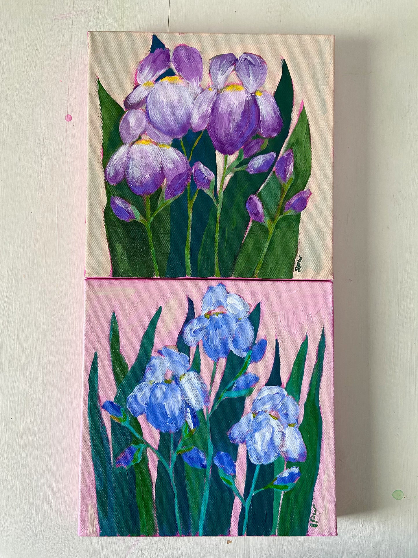 Irises