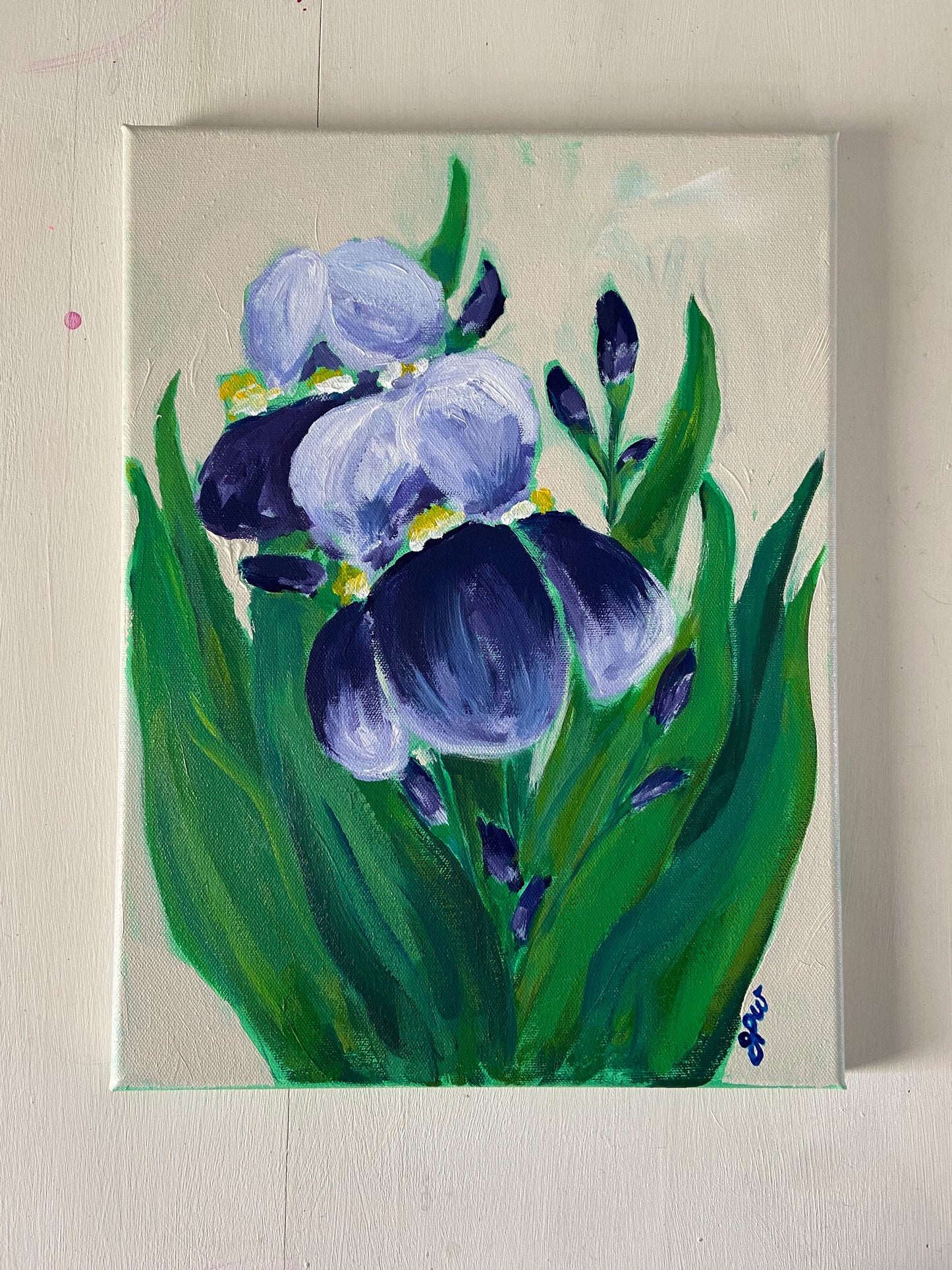 Tennessee Irises