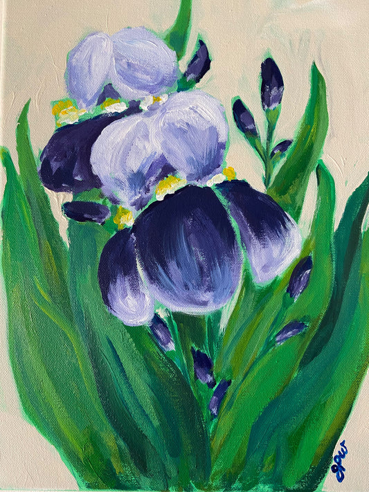 Tennessee Irises