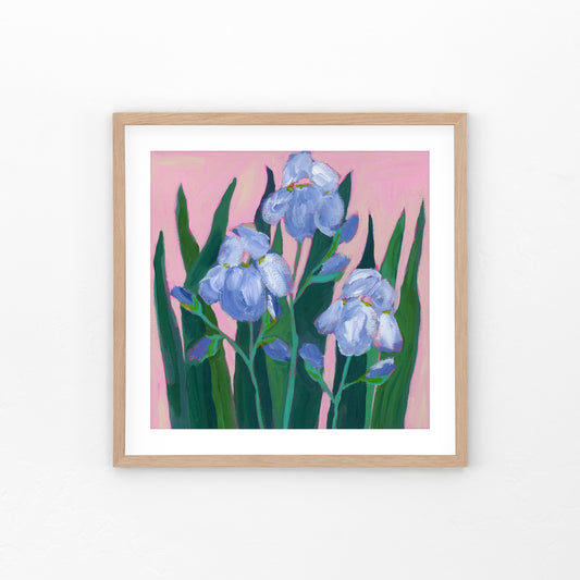 Irises No. 2