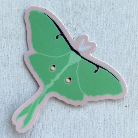 Luna Moth Sticker